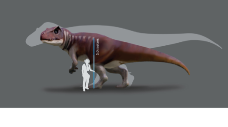 Un estudio revela que gigantescos dinosaurios carnívoros habitaron Australia durante el Jurásico