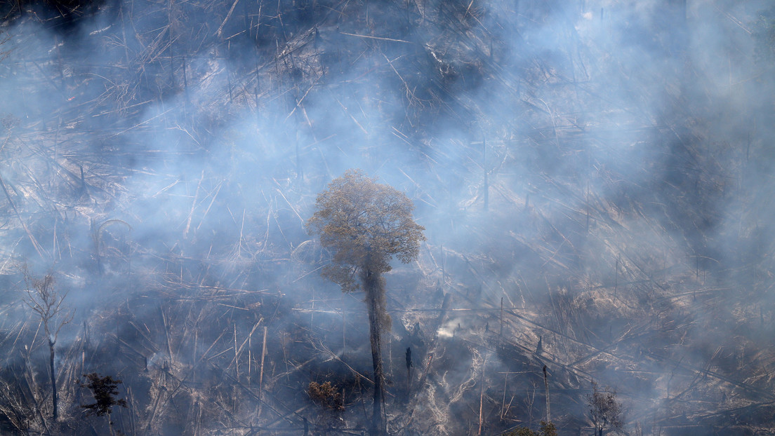 Incendios en el Pantanal brasileño crecen un 200 % en comparación con el año pasado