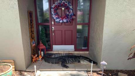 5f0436fbe9ff7117960e1072