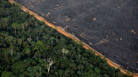 La Amazonía brasileña bate un nuevo récord de alertas de deforestación en junio