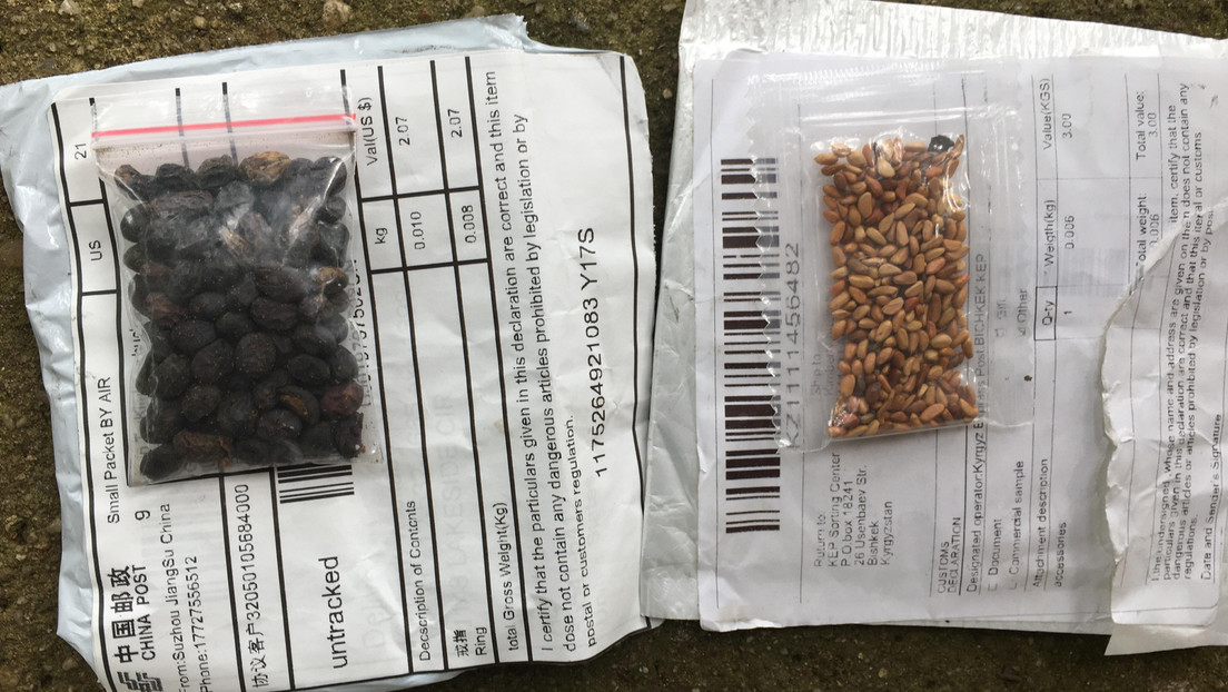 Identifican algunas de las semillas misteriosas enviadas a estadounidenses desde China