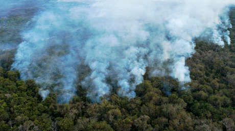 Incendios en el Pantanal brasileño dejan reducido a cenizas un paraíso ecoturístico