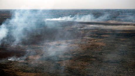 ¿Cómo siguen los incendios de Argentina? 90.000 hectáreas quemadas y todavía puede empeorar