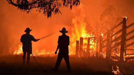 Un informe oficial advierte a Australia que debe prepararse para incendios forestales "potencialmente peores" que los de 2019