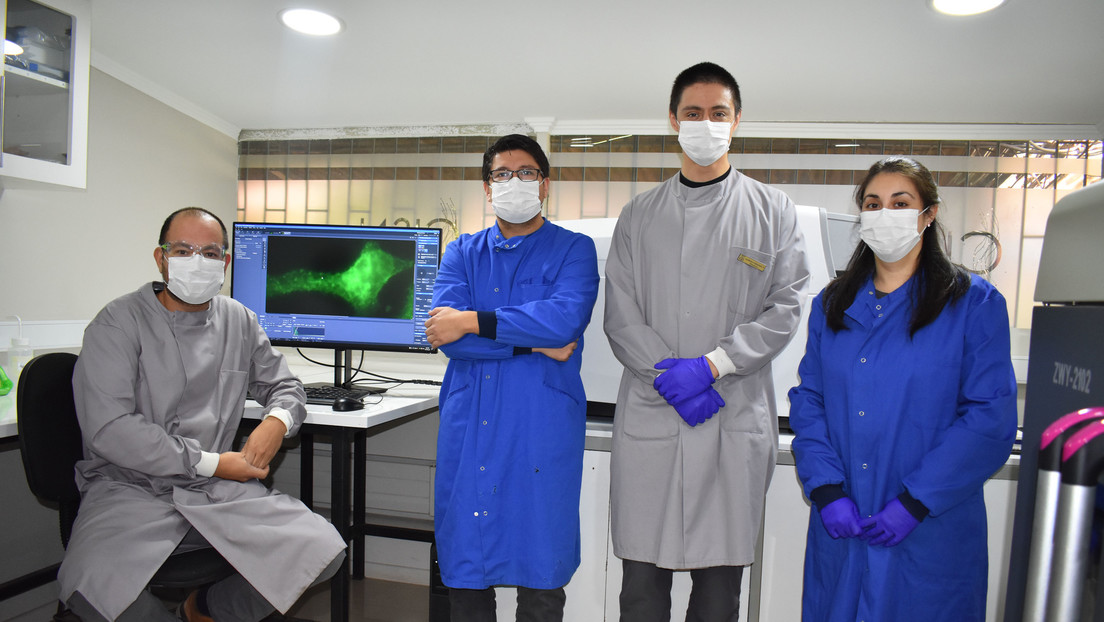 El doctor Alejandro Rojas (derecha) junto a los miembros de su equipo en la Universidad Austral de Chile
