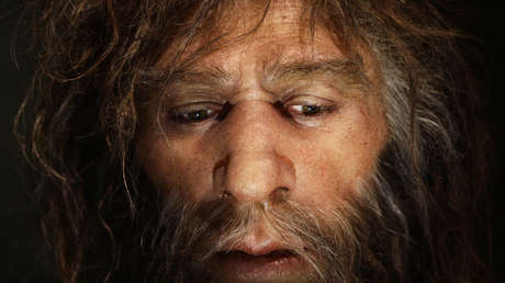 Revelan la variedad de alimentos que consumían los neandertales