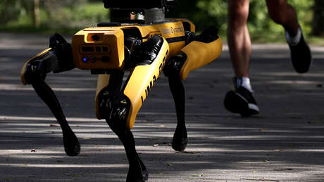 VIDEO: Imágenes de un perro robot patrullando las calles causan revuelo en las redes sociales