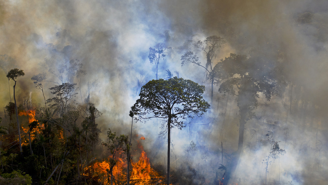 Brasil despliega a la Fuerza Nacional para combatir los incendios en el mayor humedal del mundo