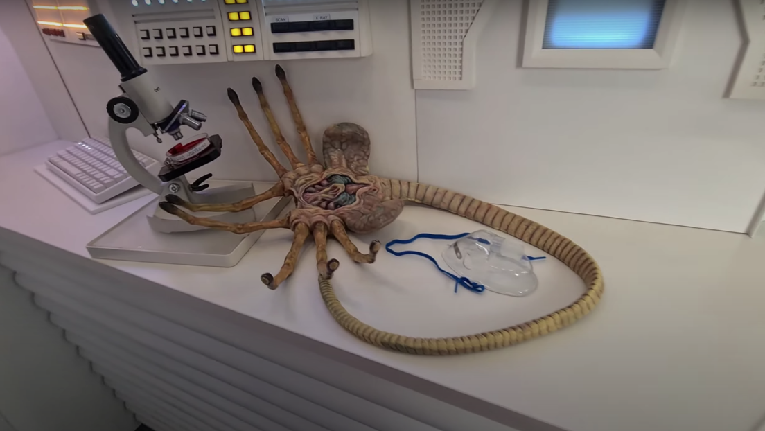 Fanático crea un impresionante museo de Alíen en su departamento (video)