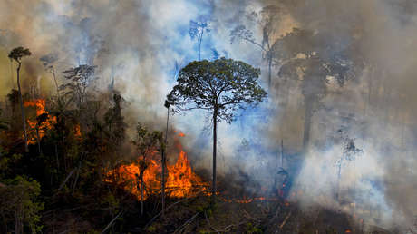 Bolsonaro asegura que no hay "nada ardiendo" y "ni siquiera una hectárea de selva devastada" en la Amazonía