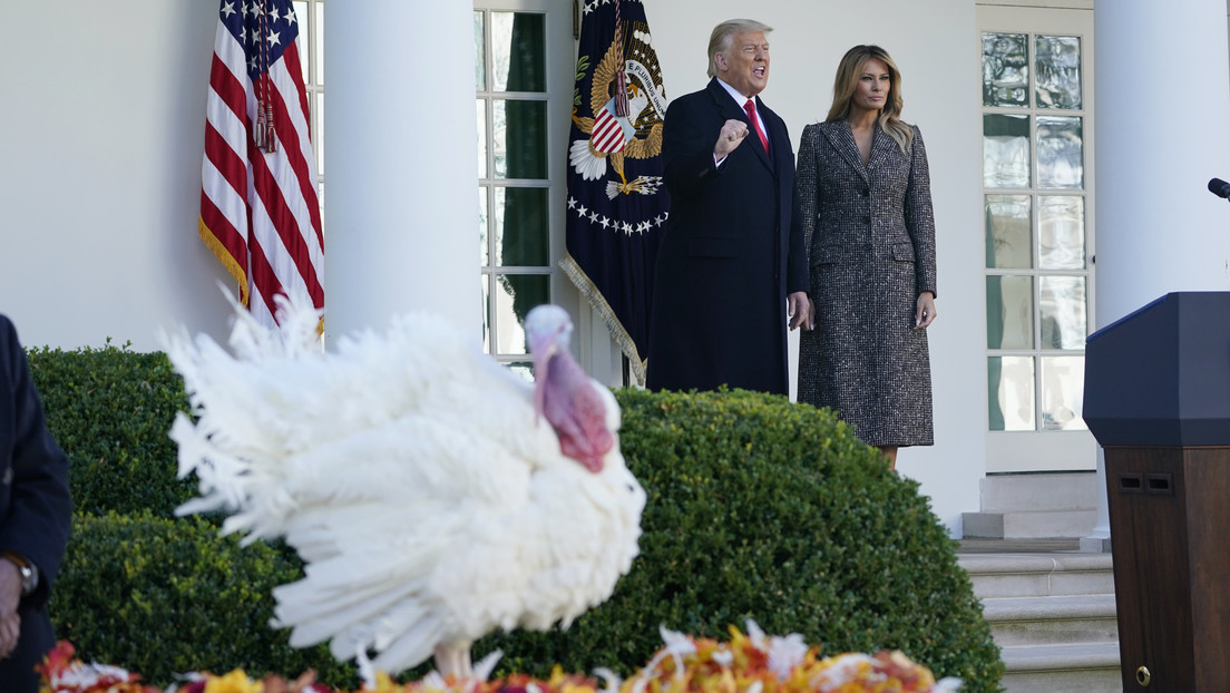 Preguntan a Trump si se indultará a sí mismo durante una ceremonia tradicional por Acción de Gracias