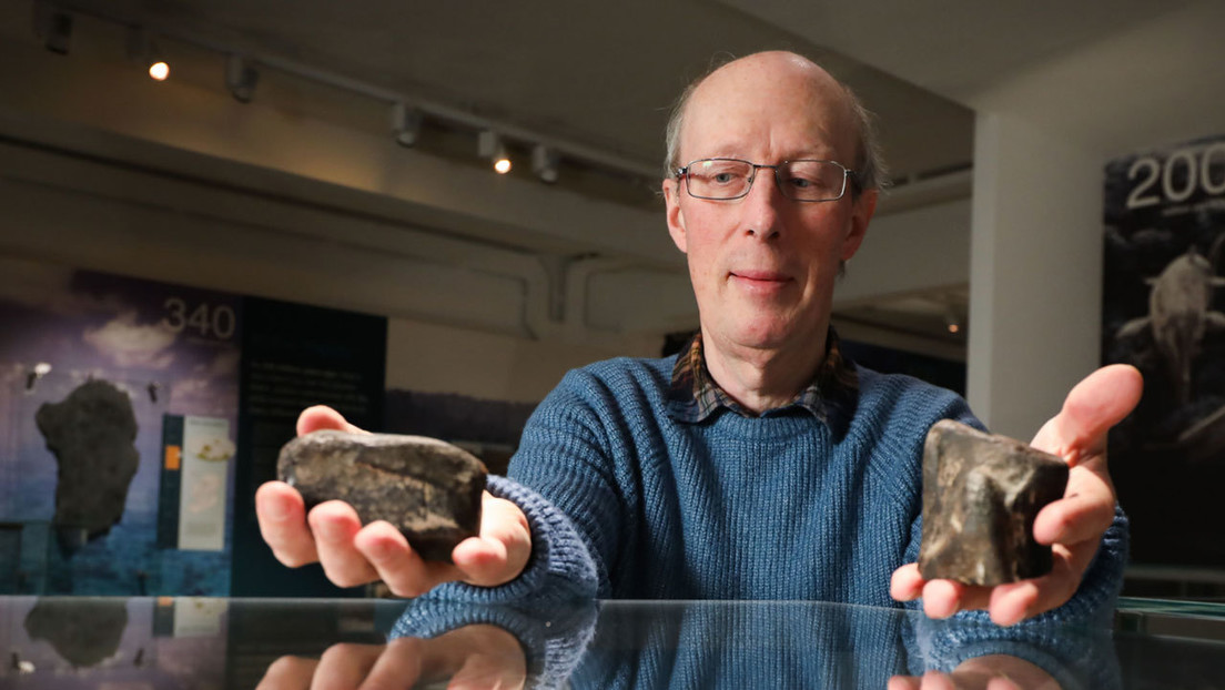Confirman el descubrimiento de los dos primeros fósiles de dinosaurio en Irlanda