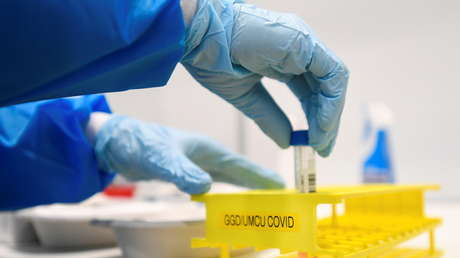 La inmunidad al coronavirus podría durar años, sugiere investigación científica