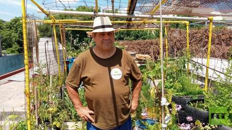 Cómo las huertas urbanas de Buenos Aires generan soberanía alimentaria sin gastar dinero: "Es una revolución silenciosa" (VIDEO)