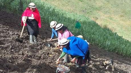 Mujeres indígenas