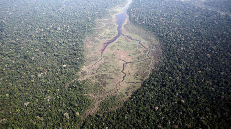 Estudio: algunas zonas de la selva tropical de Brasil "dejaron de ser sumideros de carbono para convertirse en fuentes"