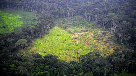 Vista aérea del campo de coca en el Parque Nacional Natural en La Macarena, Meta, Colombia, el 3 de septiembre de 2020Raul Arboleda / AFP