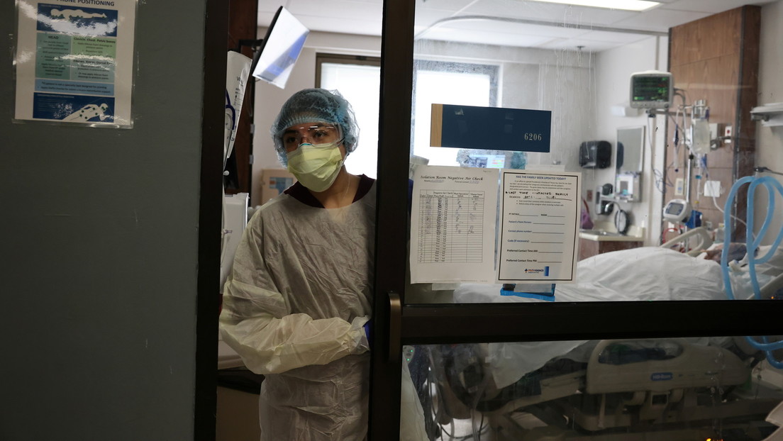 Estudio: El hongo infeccioso mortal 'Candida auris' se propagó por la sala de covid-19 de un hospital de EE.UU.  