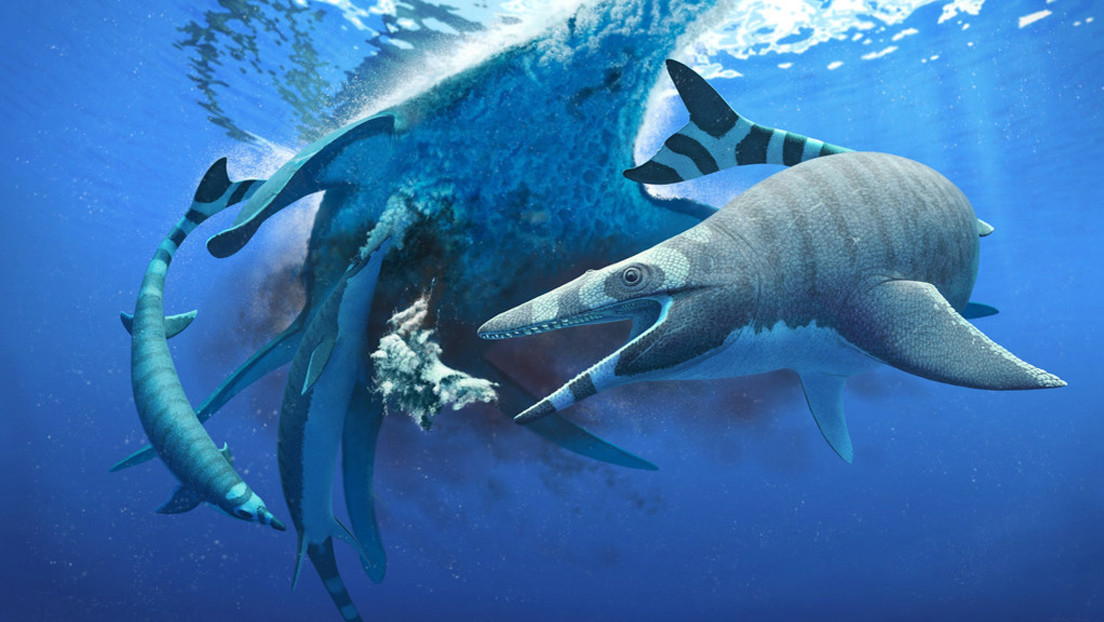 Como Se Llaman Los Dinosaurios Marinos