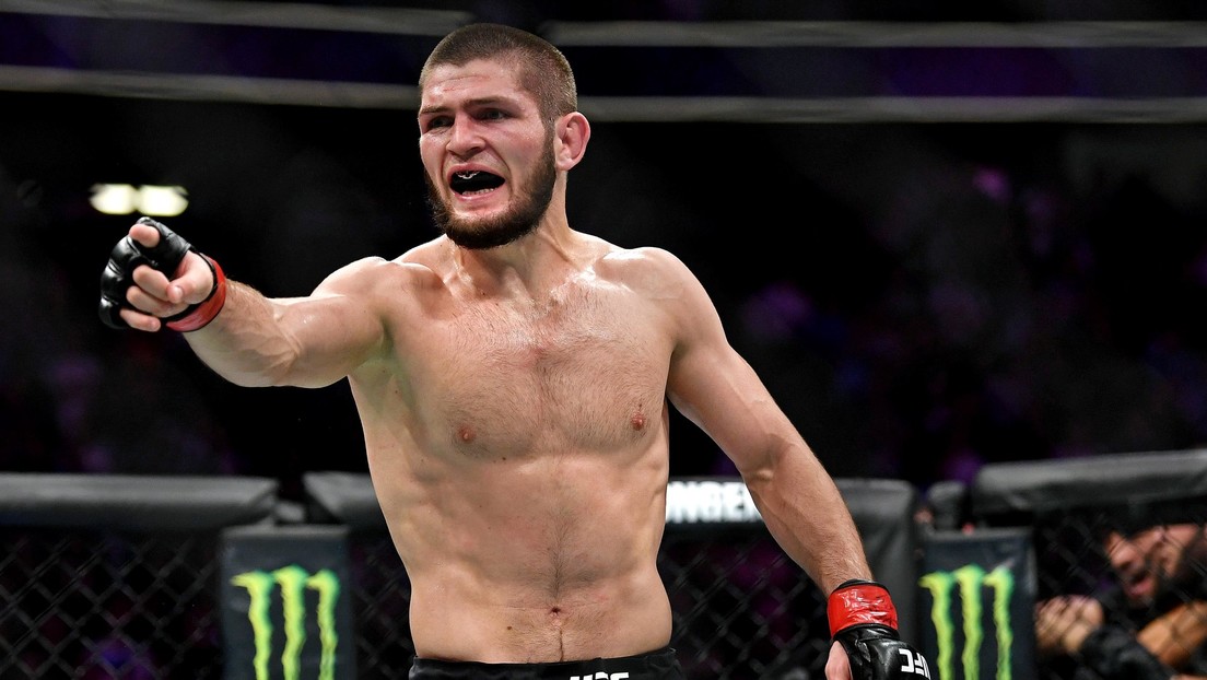 This is the “only” mededinger that can be regressed to the octopuses of Khabib Nurmagomédov, says his coach
