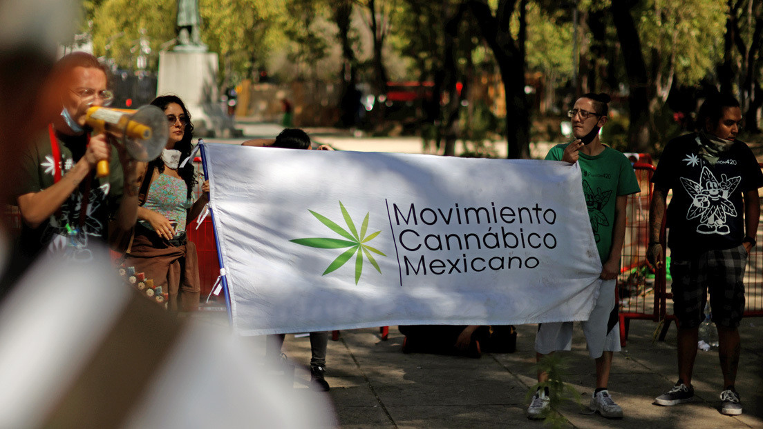 Histórico: México legaliza la marihuana, resquebraja políticas prohibicionistas y abre la puerta a un negocio multimillonario