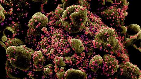 La variante británica del coronavirus puede ser hasta dos veces más mortal que otras, según un estudio