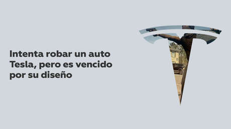 VIDEO: Un asaltante intenta robar un auto Tesla, pero es vencido por el diseño de ingeniería de Elon Musk