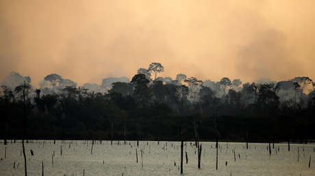 Los bosques del Amazonas, de 'pulmón del planeta' a fuente de calentamiento global