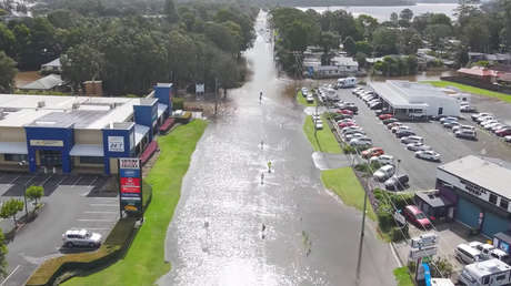 Millones de arañas toman las casas en el sureste de Australia escapando de las inundaciones