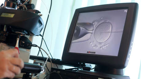 El Parlamento portugués aprueba un proyecto de ley de inseminación 'post mortem'