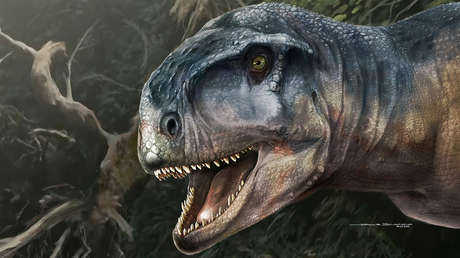 'El que causa miedo': descubren una nueva especie de un poderoso dinosaurio carnívoro en Sudamérica