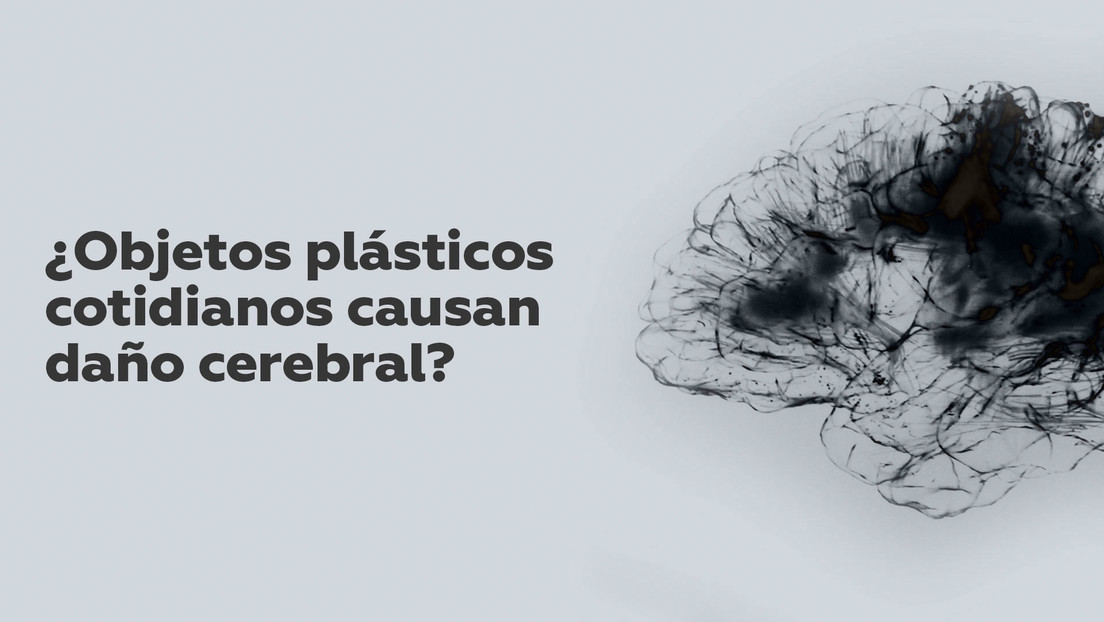 Estudio: Los plastificantes como bisfenol podrían causar daño cerebral a los humanos
