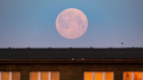 EN VIVO: Más grande y luminosa, la primera superluna rosa del año luce en los cielos