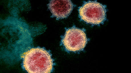 Descifran un 'truco' del coronavirus para infiltrarse en nuestro genoma