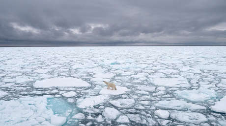 El Ártico se calienta tres veces más rápido que la superficie del resto del planeta
