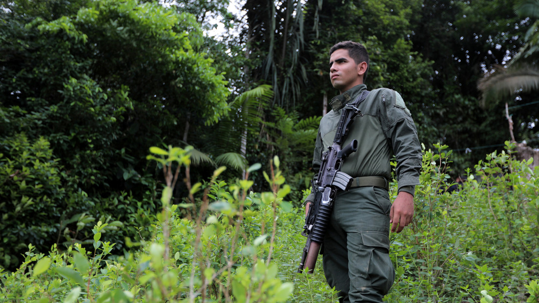 La devastadora guerra contra el narcotráfico que EE.UU. le impuso al mundo cumple 50 años de fracasos