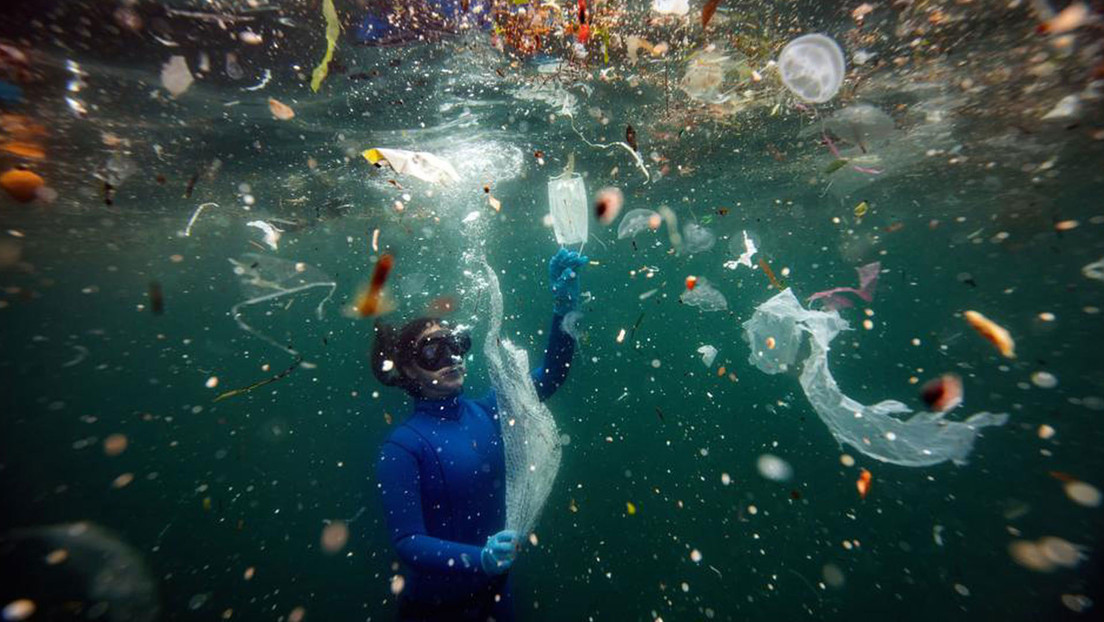 Cuatro productos de plástico constituyen casi la mitad de la basura del océano