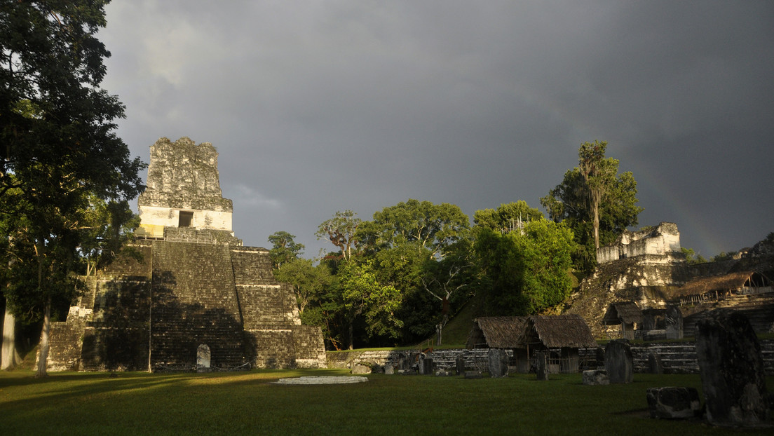 Un análisis de ADN sugiere que los antiguos mayas tenían imponentes parques alrededor de sus fuentes de agua