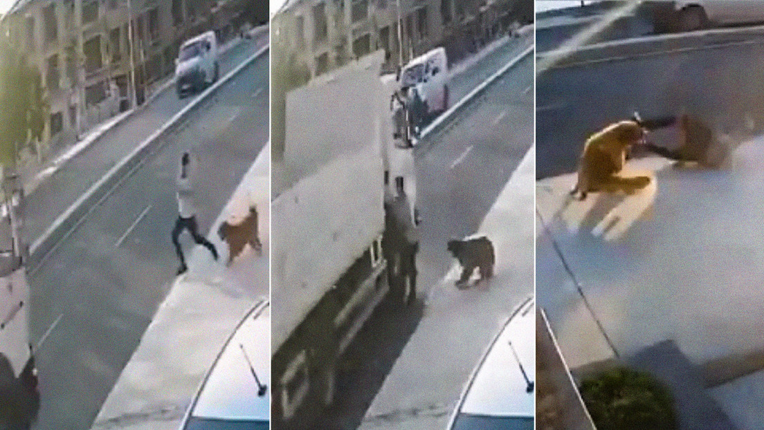 Perro asusta a peatón y provoca que un camión lo atropelle (VIDEO)
