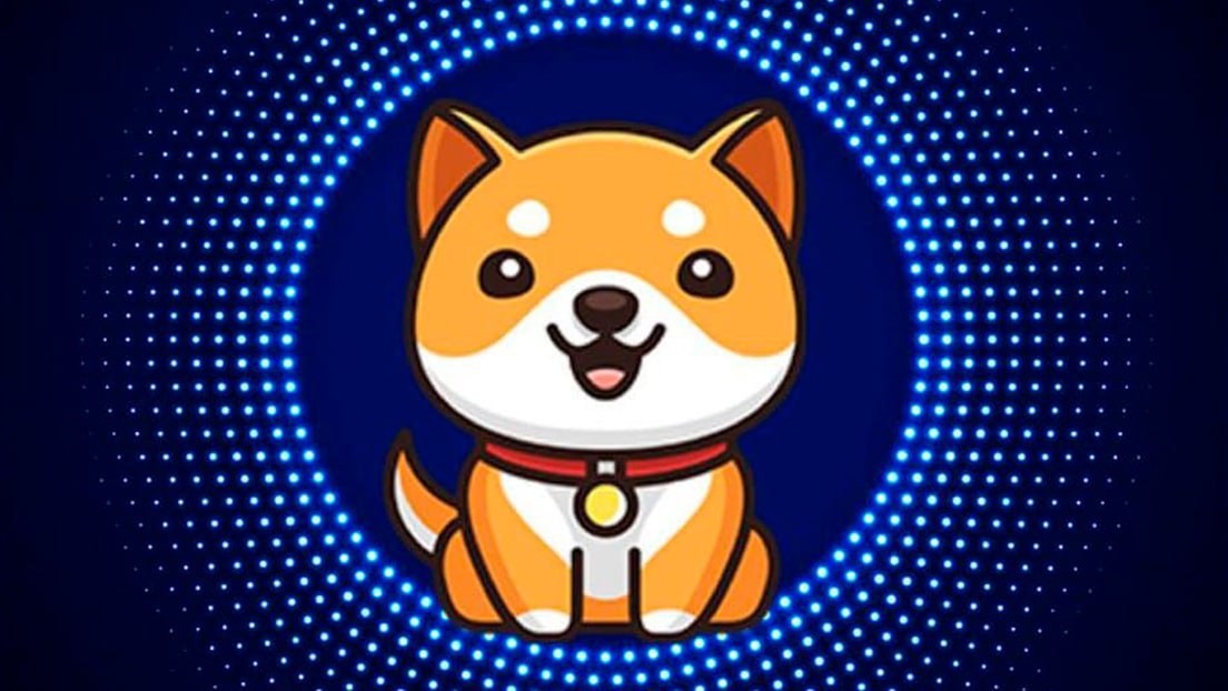 ¿Qué se sabe del Baby Doge, la nueva criptodivisa que se disparó un 228 % en un solo día tras un tuit de Elon Musk?