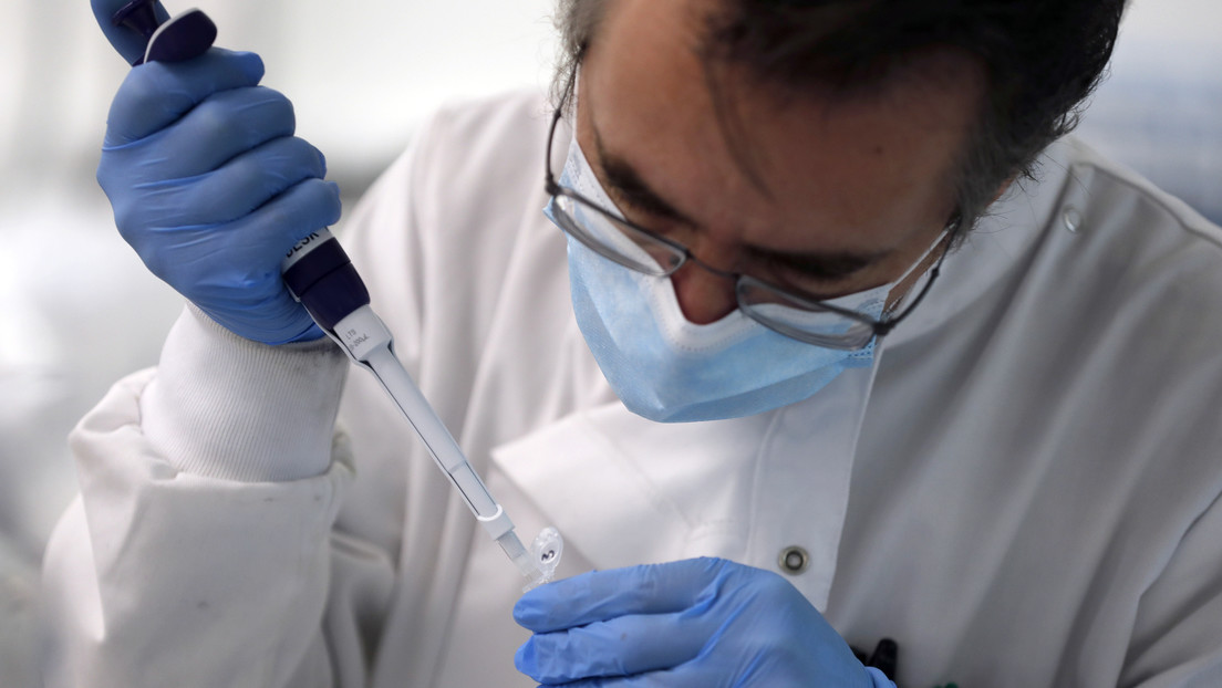 Científicos descubren qué animales son los más vulnerables al covid-19