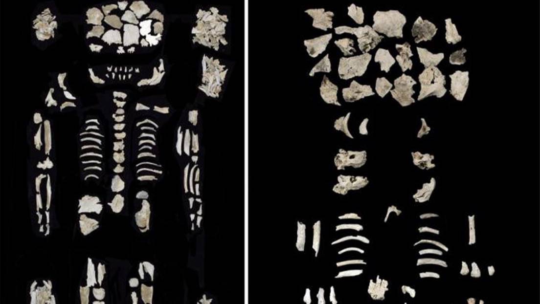 Restos óseos descubiertos en un cementerio de la Edad de Bronce de la cultura vatya en Hungría.