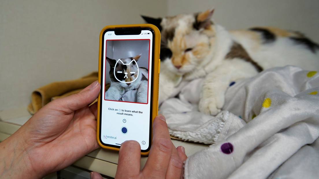 Prueba de la aplicación Tably en una clínica veterinaria de Calgary, Canadá, el 14 de julio de 2021.