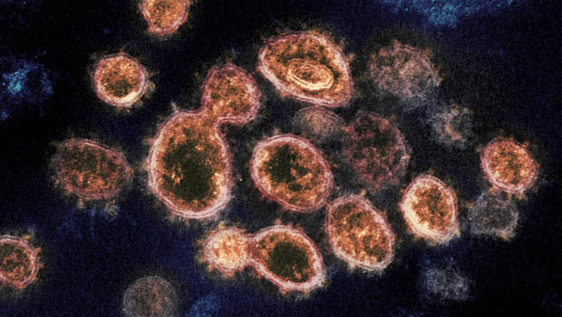 Partículas del virus SARS-CoV-2.