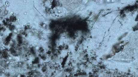 Identifican las huellas más antiguas de la vida primordial en la Tierra datadas hace 3.400 millones de años
