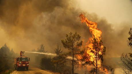 FOTOS, VIDEO: Turquía evacúa la ciudad turística de Bodrum por incendios forestales, y Erdogan admite que serían provocados