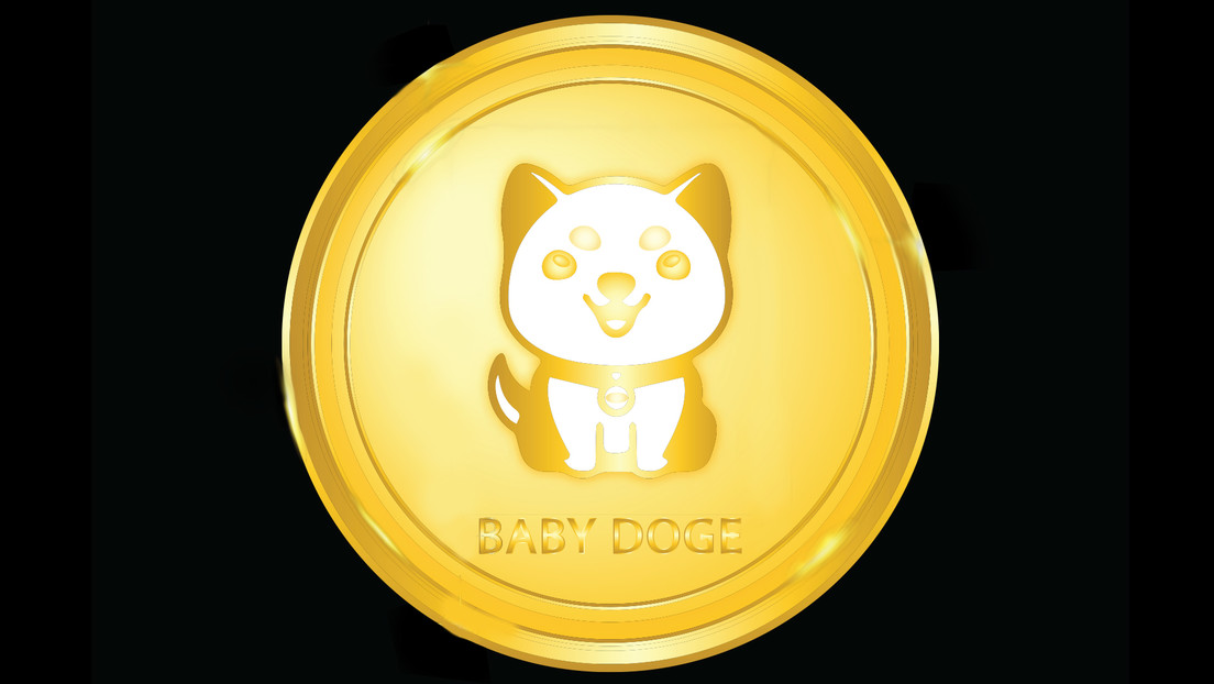 El token Shiba Floki se dispara más de un 1.000 % después de que Elon Musk mostrara su nueva mascota