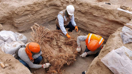 FOTOS: Hallan en Perú una tumba común de 800 años con los restos de ocho personas acompañados de instrumentos musicales y alimentos