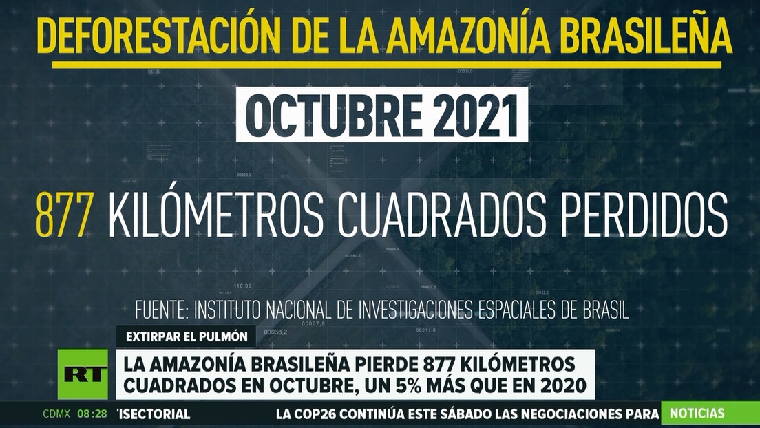 La Amazonía brasileña pierde 877 kilómetros cuadrados en octubre, un 5 % más que en 2020