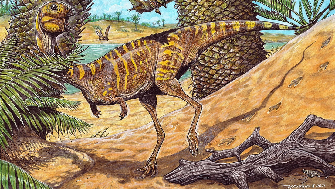 Berthasaura leopoldinae, la nueva especie de dinosaurio sin dientes descubierta en Brasil (y esta es la razón de su nombre)
